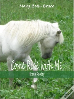 Capa do artigo Come Ride With Me