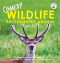 Comedy Wildlife Photography Awards Vol. 2 - Preview