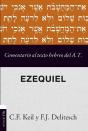 Comentario Al Texto Hebreo Del Antiguo Testamento- Ezequiel - Preview