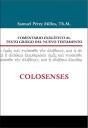 Comentario Exegético Al Texto Griego Del N.T. - Colosenses - Preview