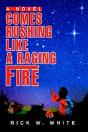 Comes Rushing Like A Raging Fire - Preview