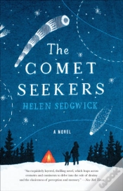 Capa do artigo Comet Seekers