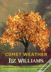 Capa do artigo Comet Weather