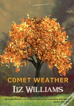 Capa do artigo Comet Weather