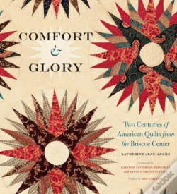 Capa do artigo Comfort And Glory