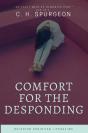 Comfort For The Despoding - Preview