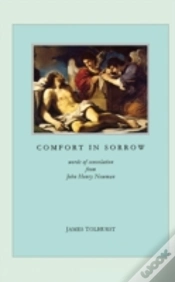 Capa do artigo Comfort In Sorrow
