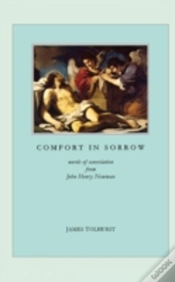Capa do artigo Comfort In Sorrow