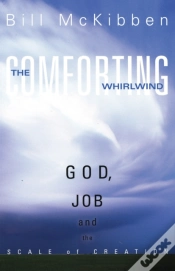 Capa do artigo Comforting Whirlwind