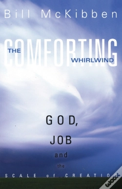 Capa do artigo Comforting Whirlwind