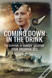 Capa do artigo Coming Down In The Drink