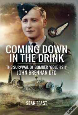 Capa do artigo Coming Down In The Drink