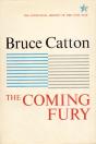 Coming Fury, Volume 1 - Preview