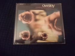 Capa do artigo Coming Up Roses - CD