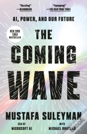 Capa do artigo Coming Wave