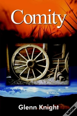 Capa do artigo Comity