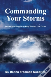 Capa do artigo Commanding Your Storms