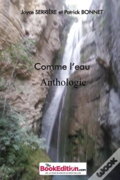 Capa do artigo Comme L