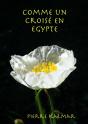 Comme Un Croisé En Egypte - Preview