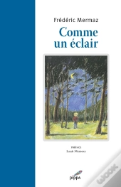 Comme Un Éclair