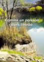 Comme Un Poisson Dans L'Herbe - Preview