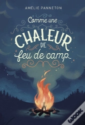 Comme Une Chaleur De Feu De Camp