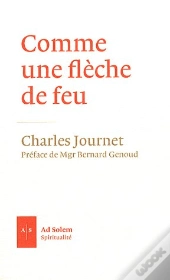 Comme Une Flèche De Feu