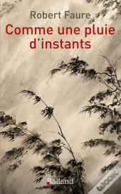 Comme Une Pluie D'Instants