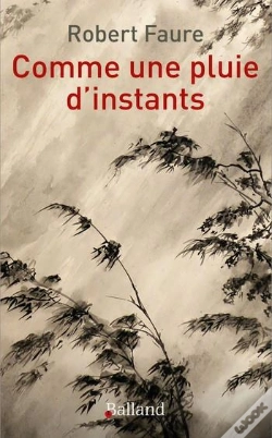 Capa do artigo Comme Une Pluie D'Instants
