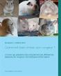 Comment Bien Choisir Son Rongeur - Preview