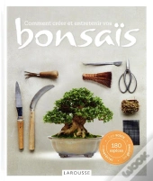 Comment Creer Et Entretenir Vos Bonsai