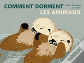 Comment Dorment Les Animaux