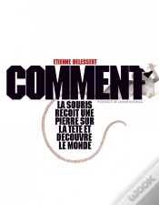 Capa do artigo Comment La Souris Reçoit Une Pierre Sur La Tete Et Découvre Le Monde
