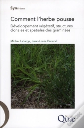 Comment L'Herbe Pousse ; Développement Végétatif, Structures Clonales Et Spatiales Des Graminées