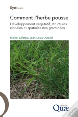 Capa do artigo Comment L'Herbe Pousse
