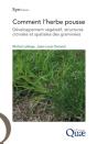 Comment L'Herbe Pousse - Preview