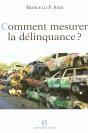 Comment Mesurer La Delinquance ? - Preview