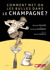 Comment Met-On Des Bulles Dans Le Champagne ?