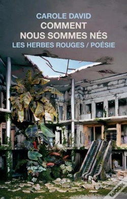 Capa do artigo Comment Nous Sommes Nes