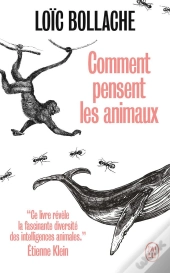 Comment Pensent Les Animaux