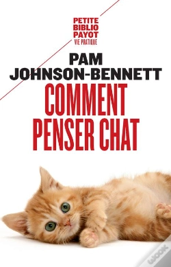 Capa do artigo Comment Penser Chat