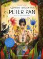 Comment Rencontrer Peter Pan - Preview