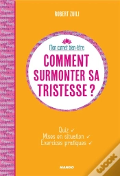 Capa do artigo Comment Surmonter Sa Tristesse ?
