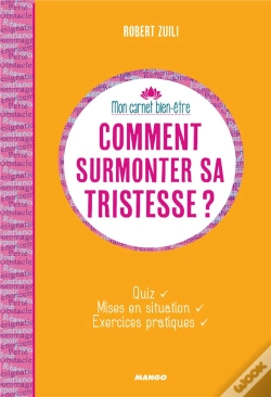 Capa do artigo Comment Surmonter Sa Tristesse ?