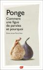 Comment Une Figue De Paroles Et Pourquoi - Preview
