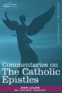 Commentaries On The Catholic Epistles - Preview