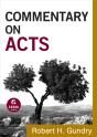 Commentary On Acts (Commentary On The New Testament Book #5) - Preview