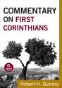 Commentary On First Corinthians (Commentary On The New Testament Book #7) - Preview