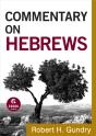 Commentary On Hebrews (Commentary On The New Testament Book #15) - Preview