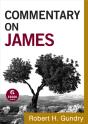Commentary On James (Commentary On The New Testament Book #16) - Preview